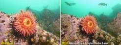 Sealife Micro Ultra Wide Angle Lens -Diving Gear Shop With and Without Micro Wide Angle Dome Lens