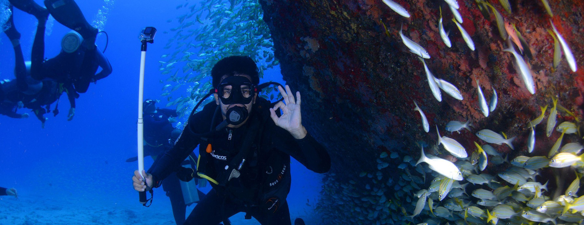 Diving Gear Shop -Diving Gear Shop dive 1849534 1920